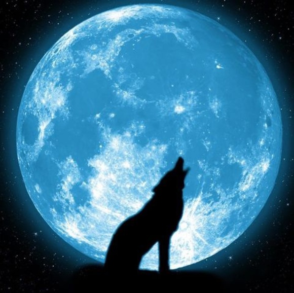 Meet your Posher, Dennis - Picture 1 of 1